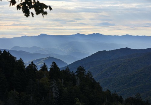 The Impact of Smoke Policies on Tourism in East Tennessee: An Expert's Perspective